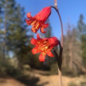 Meet your Posher, Tasha